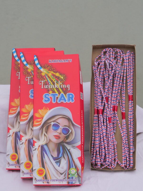 roman candle ( hand sky 18 shot)